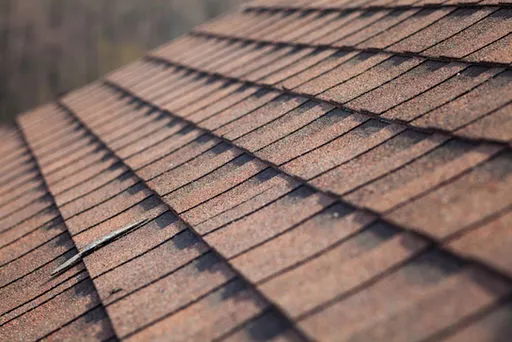 Roof Cleaning